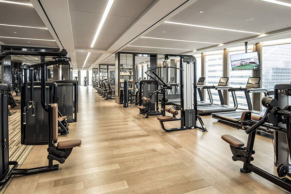 సైన్స్ ఫిట్‌నెస్‌కు మార్గనిర్దేశం చేస్తుంది మరియు ఆరోగ్యకరమైన జీవితాన్ని ఆనందిస్తుంది